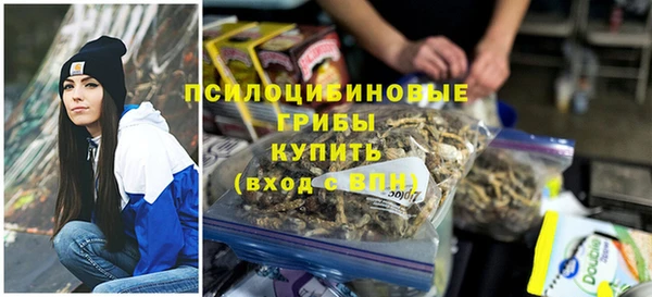 мяу мяу мука Пестово