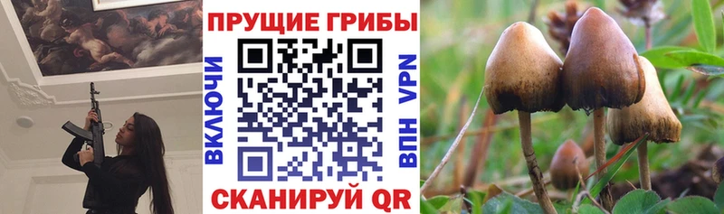 Галлюциногенные грибы MAGIC MUSHROOMS  Улан-Удэ 