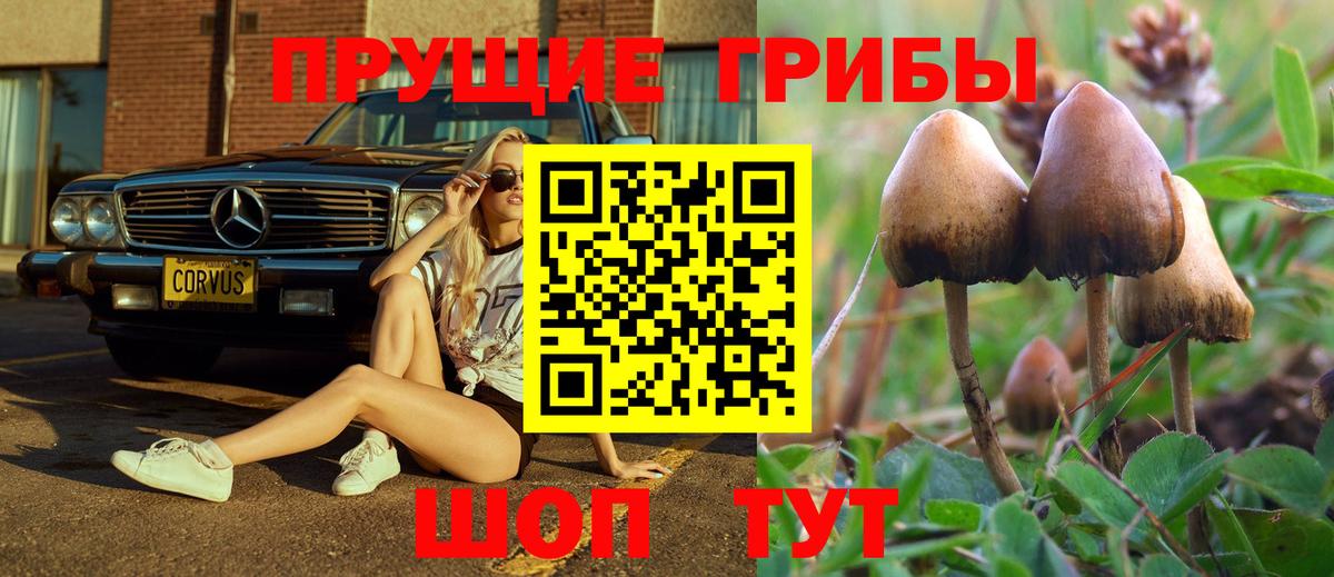 Улан-Удэ  Псилоцибиновые грибы MAGIC MUSHROOMS  Псилоцибиновые грибы MAGIC MUSHROOMS  Вход с VPN 