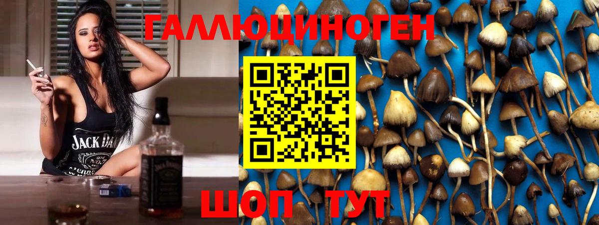 Галлюциногенные грибы Magic Shrooms Улан-Удэ